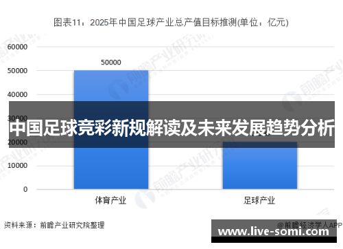 中国足球竞彩新规解读及未来发展趋势分析